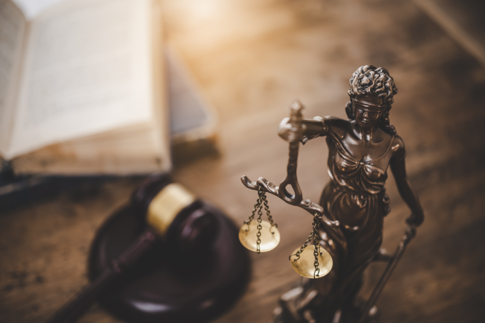 mallet of the judge, law enforcement officers, evidence-based cases and documents taken into account